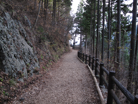 20171128hike (244)